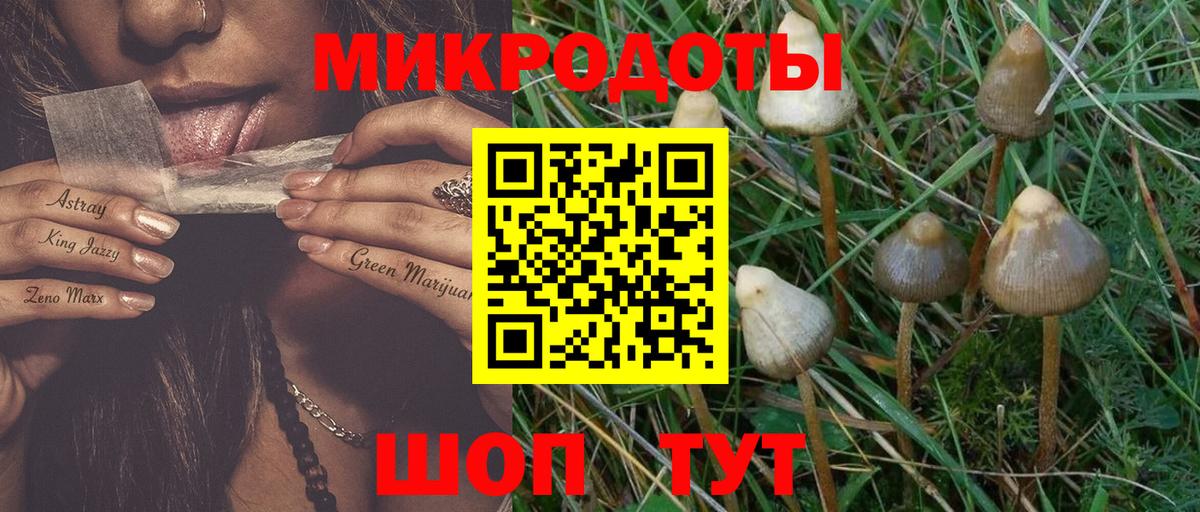 Кимовск  купить   Вход с VPN  Псилоцибиновые грибы GOLDEN TEACHER 