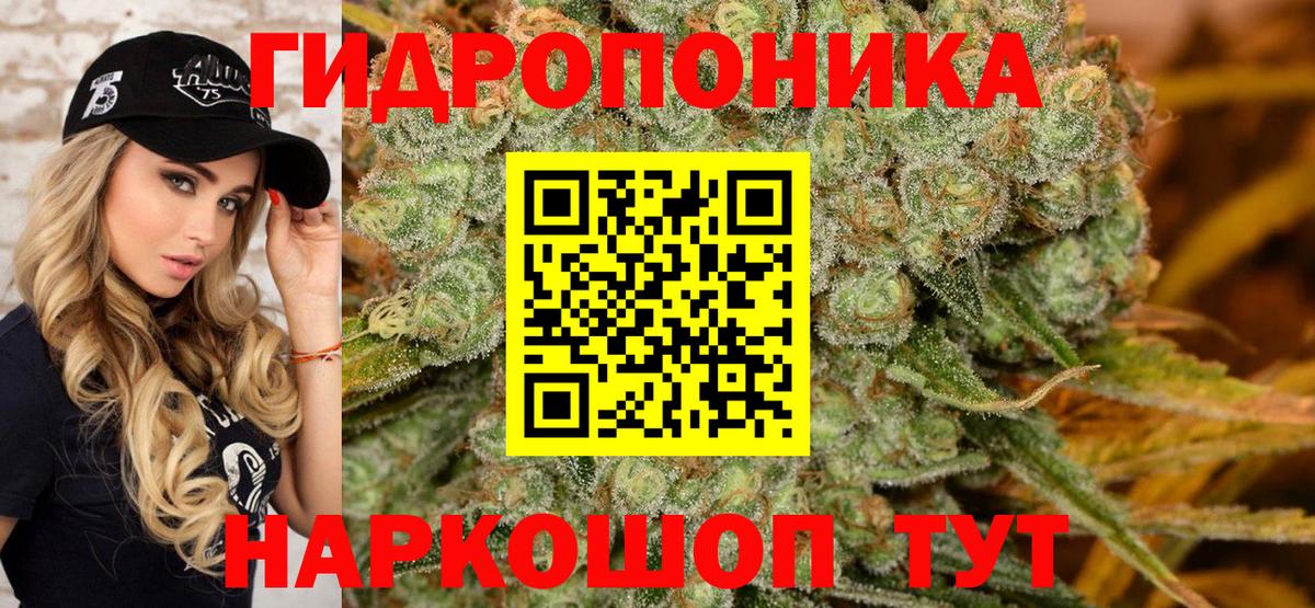 Каннабис OG Kush  Каннабис MAZAR  Бошки Шишки SATIVA & INDICA  Марихуана OG Kush  Вход с VPN  Кимовск 